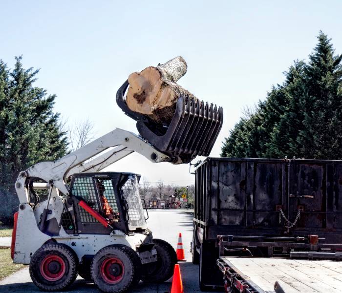 removing a large tree stump in North Andover