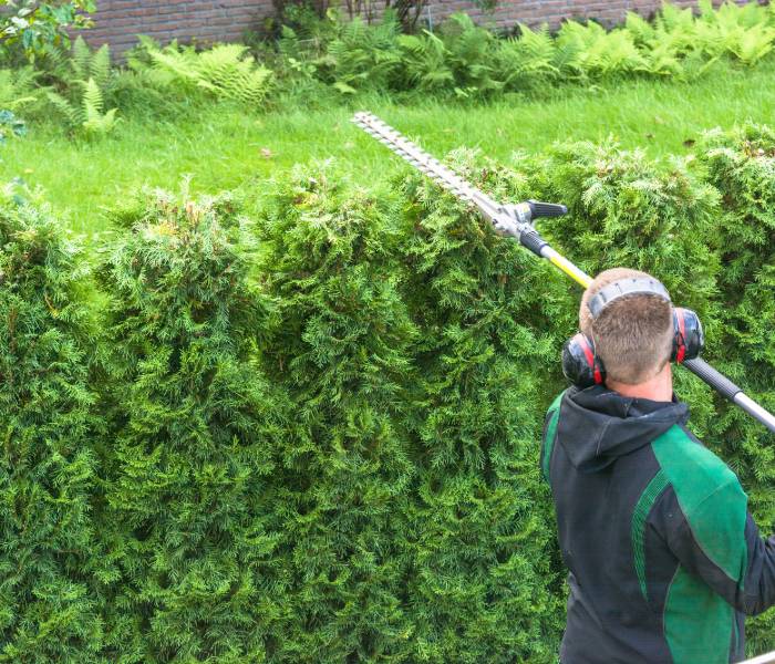 equipment for shrub trimming in North Andover